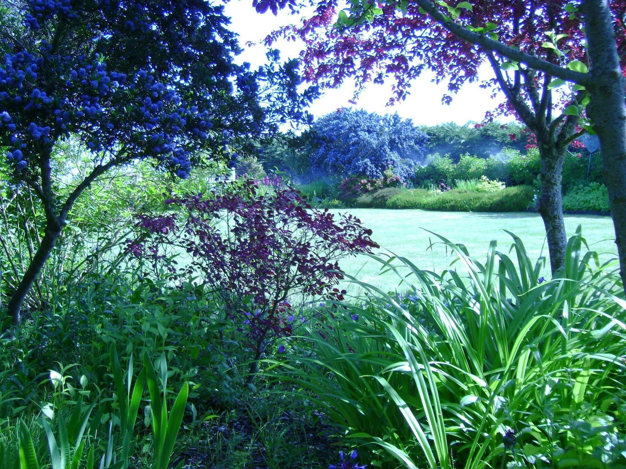 Bed and Breakfast Sea Cliff Gardens Port Angeles Zewnętrze zdjęcie